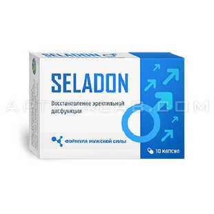 Seladon в Днестровске